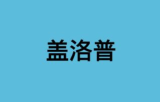 盖洛普优势识别器2.0免费下载 - 尔鹿网络-尔鹿网络